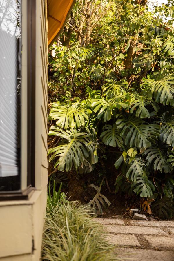 Gamai Monteverde Tiny House 外观 照片